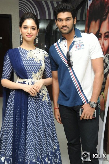 Alludu-Seenu-Movie-Platinum-Disc-Function